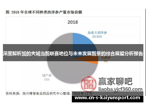 深度解析加的夫城当前联赛地位与未来发展前景的综合展望分析报告