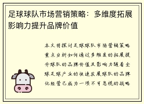 足球球队市场营销策略：多维度拓展影响力提升品牌价值